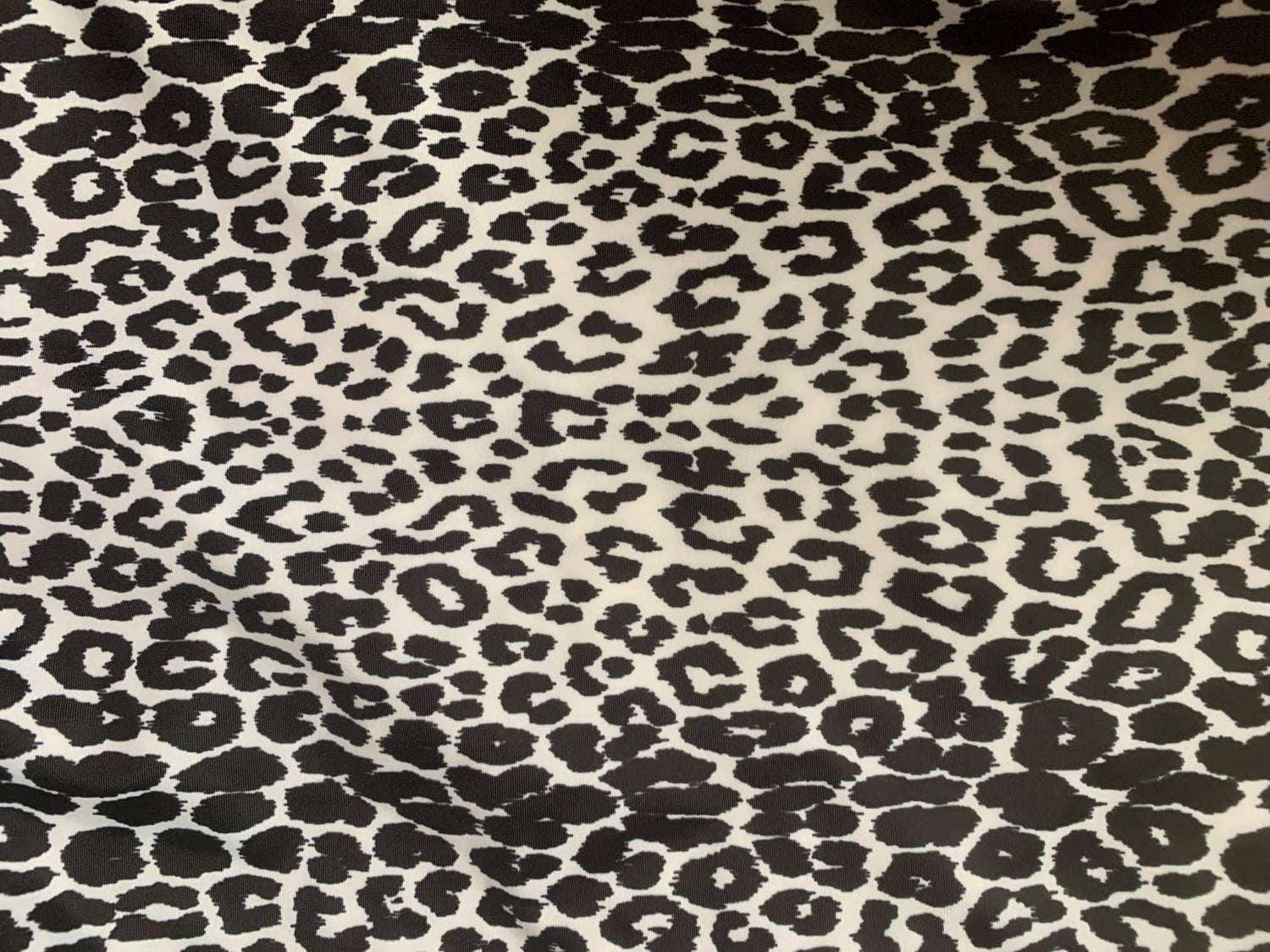 Posing & Check In Competition Bikini - PRE ORDER