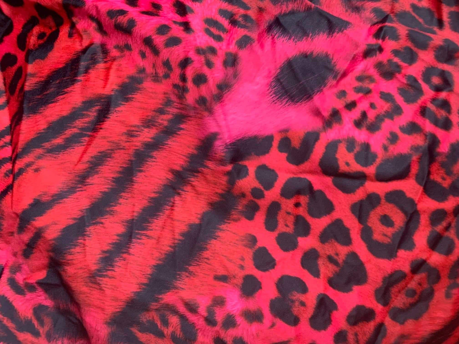 Posing & Check In Competition Bikini - PRE ORDER