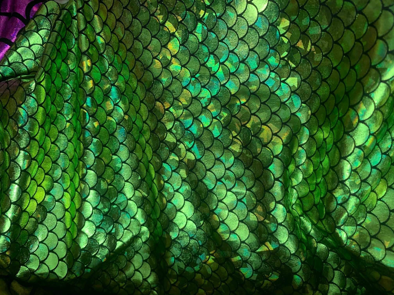 Posing & Check In Competition Bikini - PRE ORDER