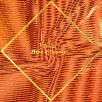 ( Molly) velvet competition bikini