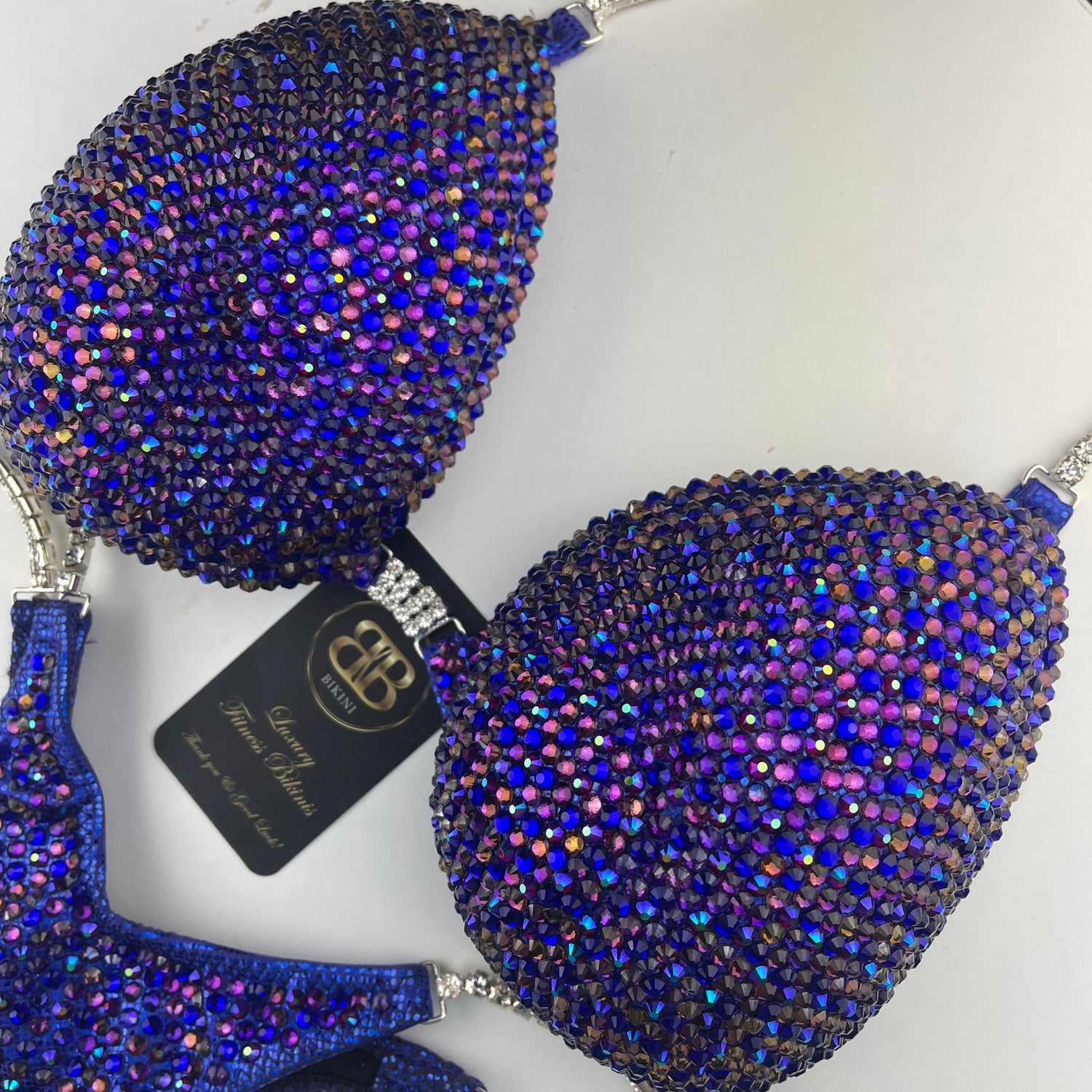 Rental- Cobalt blue and purple NPC style bikini - D/DD cup